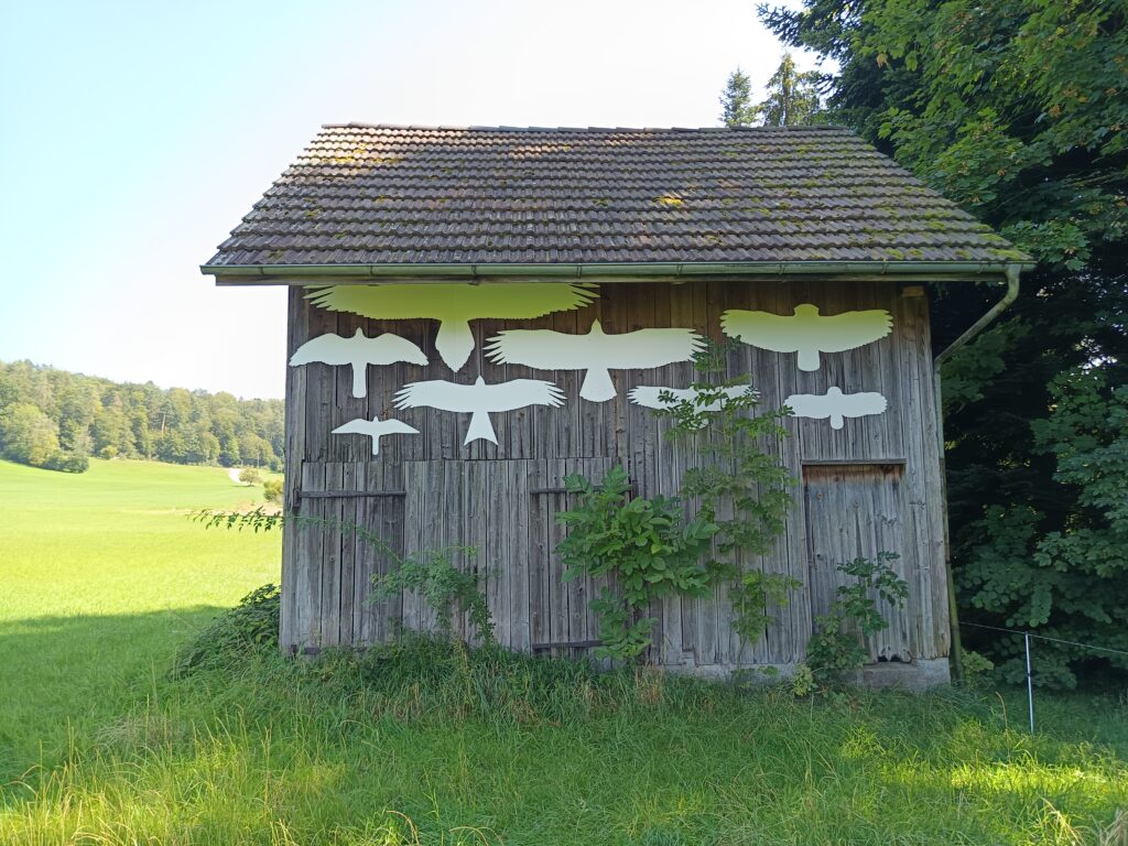 Scheune mit Greifvogelsilhouetten bei der Anna Zemp-Stiftung