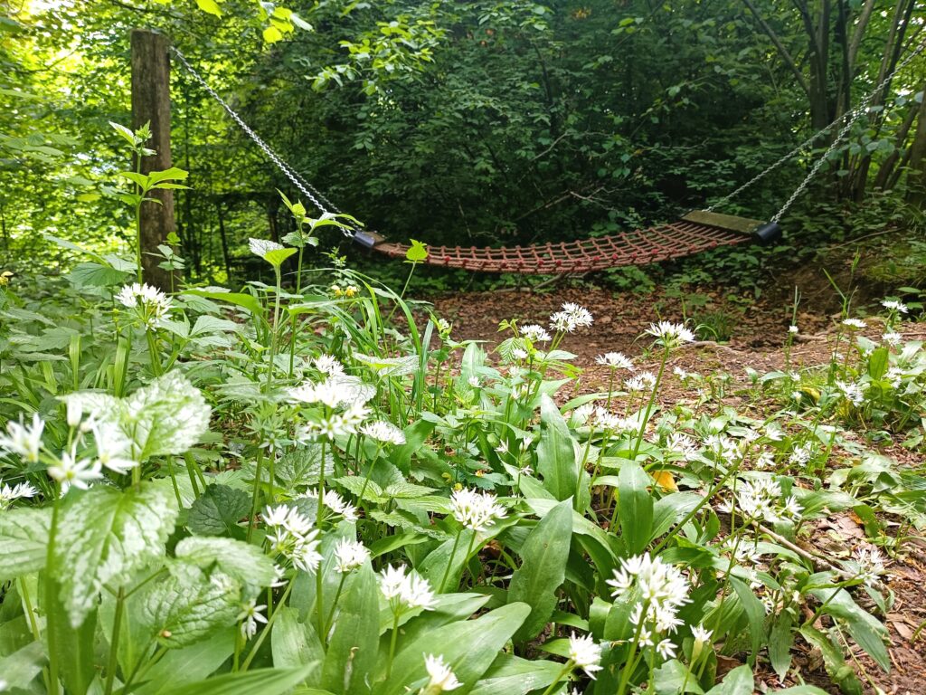 Hängematte Anna Zemp-Stiftung