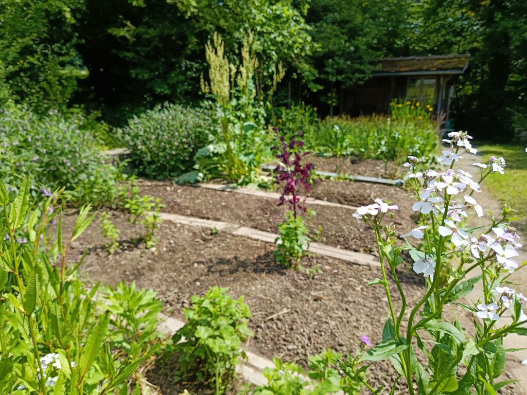 Modellprojekt Kleinraum-Garten von Bioterra im Anna Zemp Naturgarten