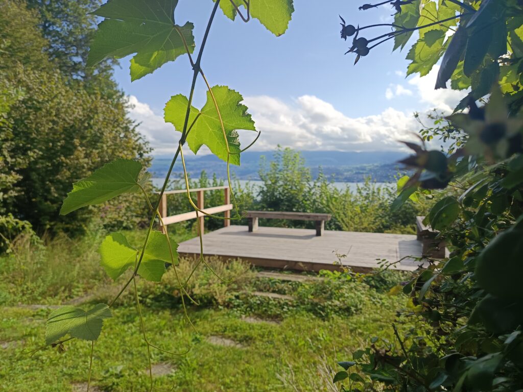 Aussichtsterrasse der Anna Zemp-Stiftung