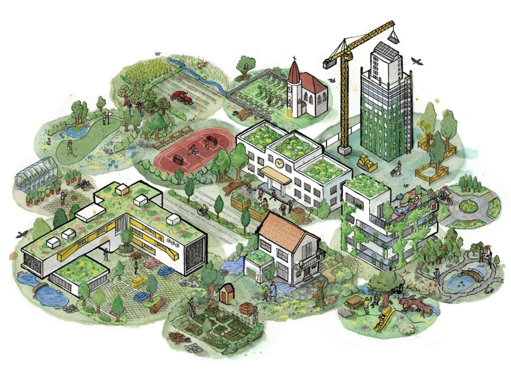 Grüne Stadt - Siedlungsnatur