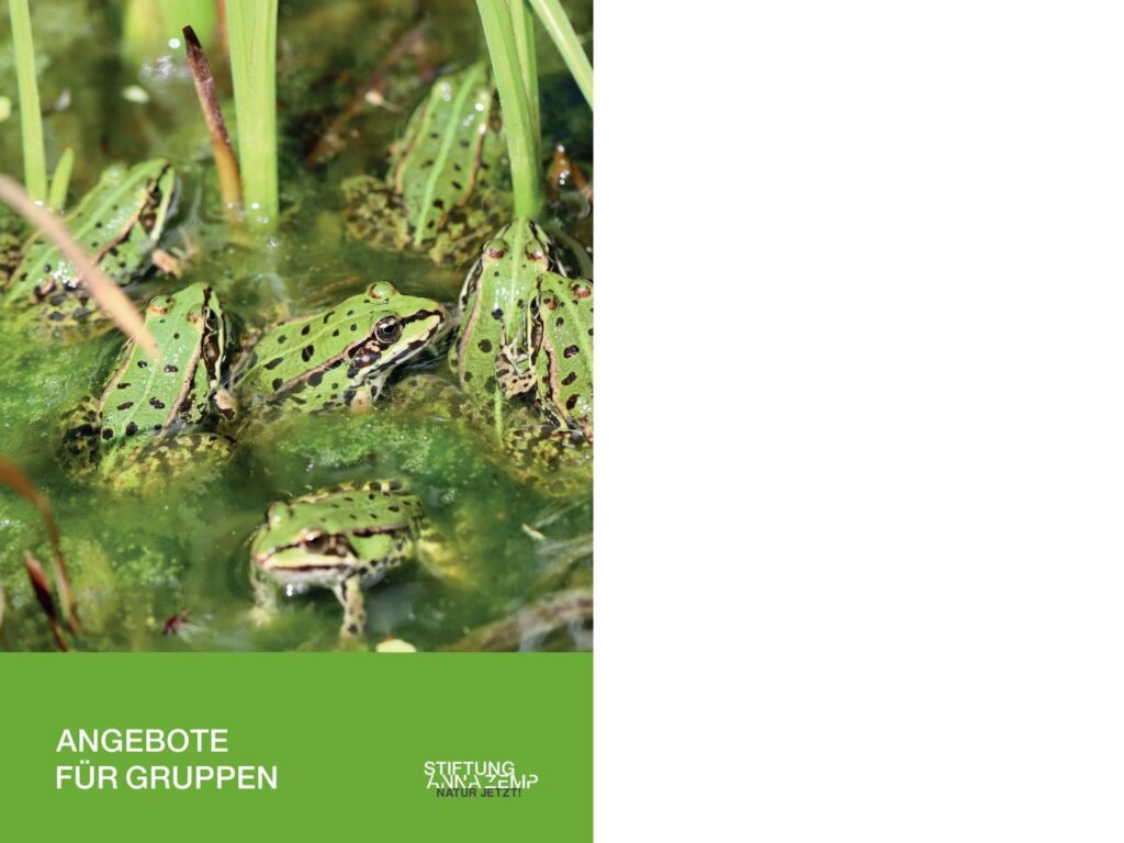 Angebote für Gruppen