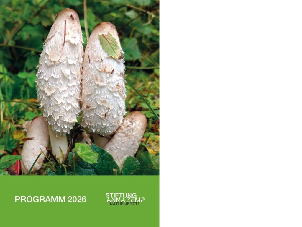 TaDa: Unser Jahresprogramm 2026