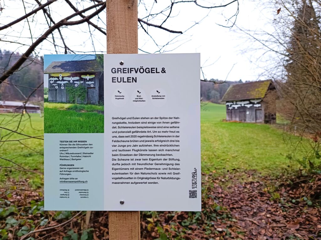 Augen auf: Neuigkeiten in Sicht