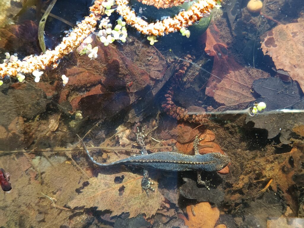 Da hat sich jemand schick gemacht