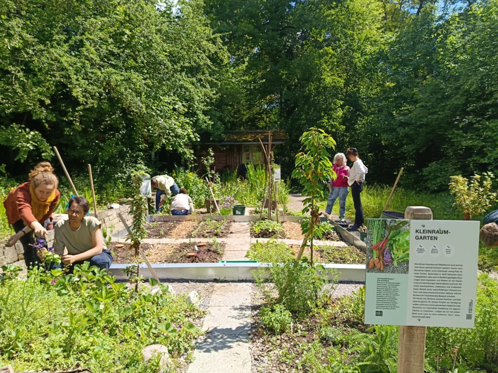 Bioterra Kleinraum-Garten