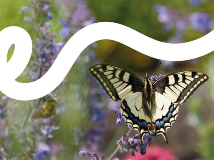 Prädikat: Zertifizierter Naturgarten